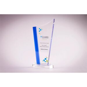 Spotlight Trophy 4 1/8" x 9" x 2 3/4"